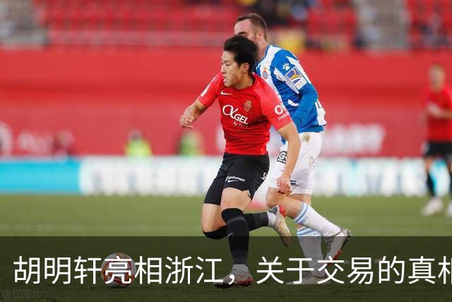 胡明轩亮相浙江，关于交易的真相揭秘
