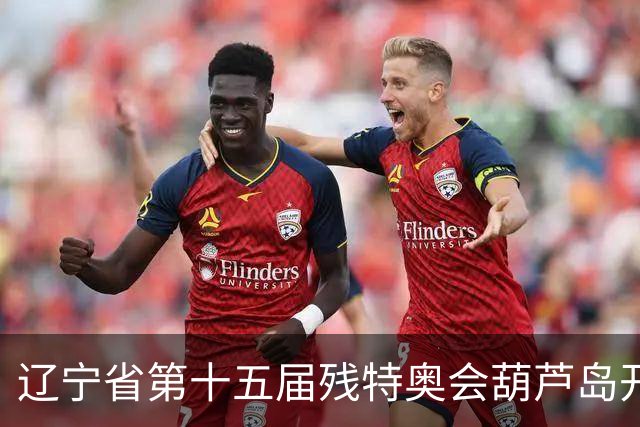 辽宁省第十五届残特奥会葫芦岛开赛 356名健儿参与角逐